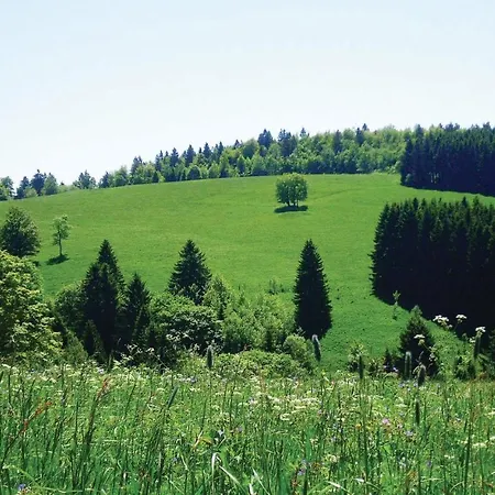 St, Andreasberg, Haus 41 Prázdninový dům Sankt Andreasberg